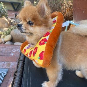 Pizza pet hat/costume